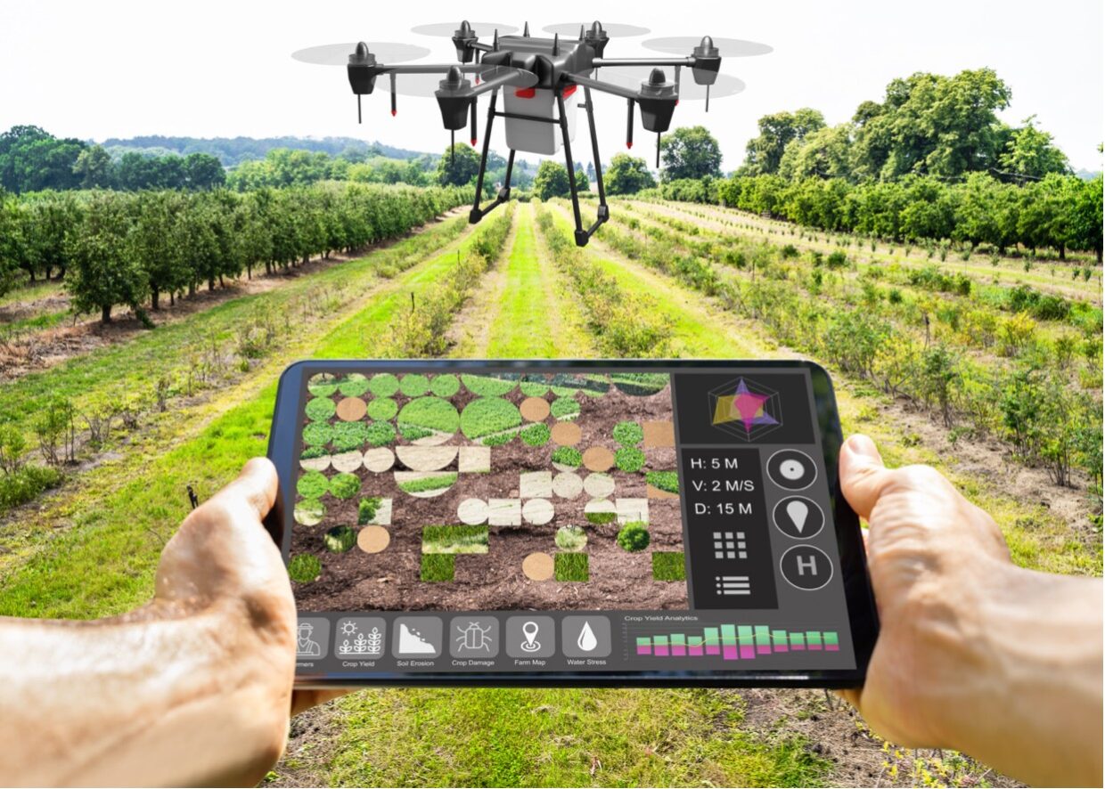 التحول الرقمي يقتحم المجال الزراعي من خلال تعاون مشترك بين الزراعة و”الفاو”